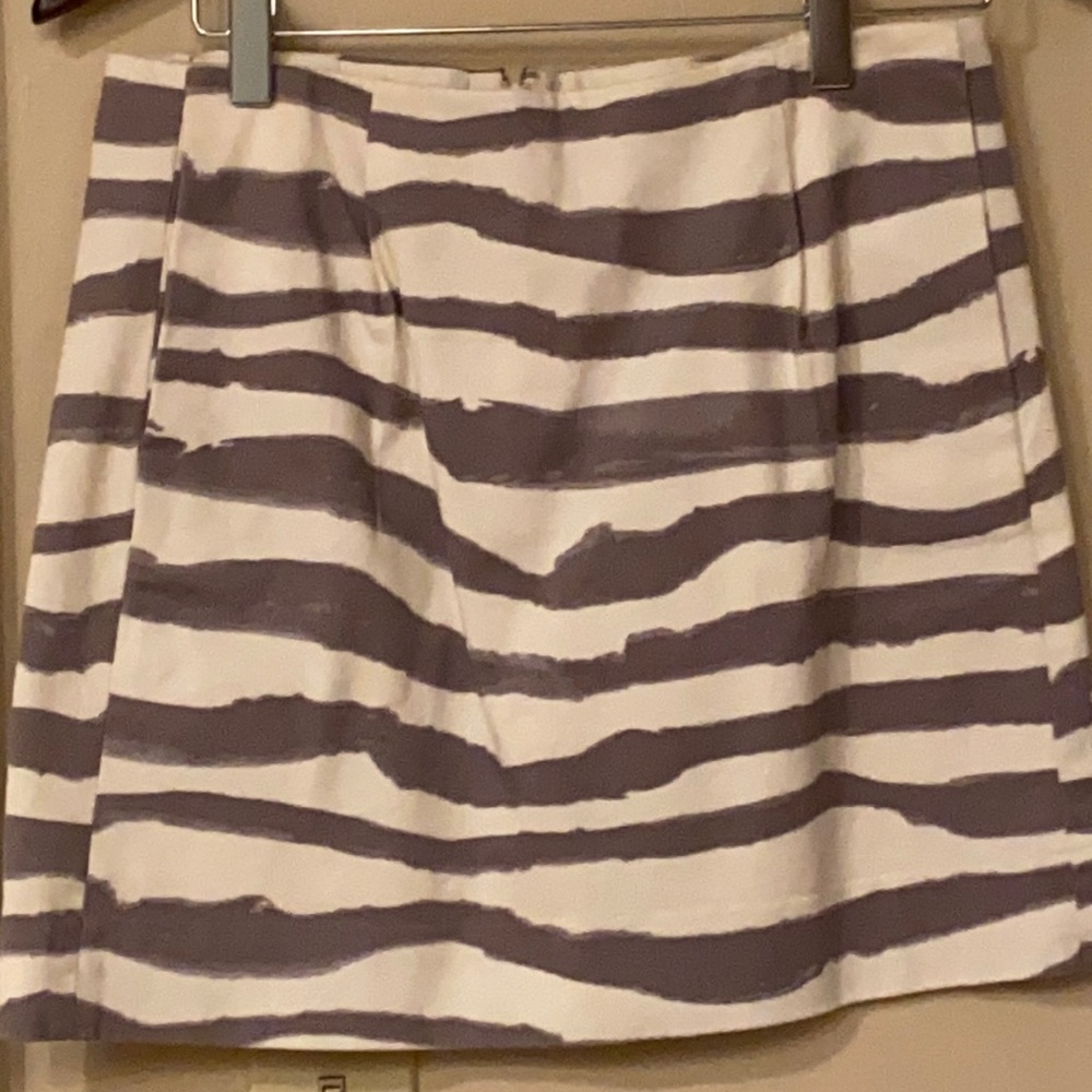 Jcrew skirt